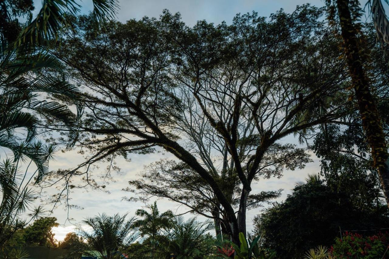 Tribe Boutique Hotel - Adults Only Dominical Exterior foto
