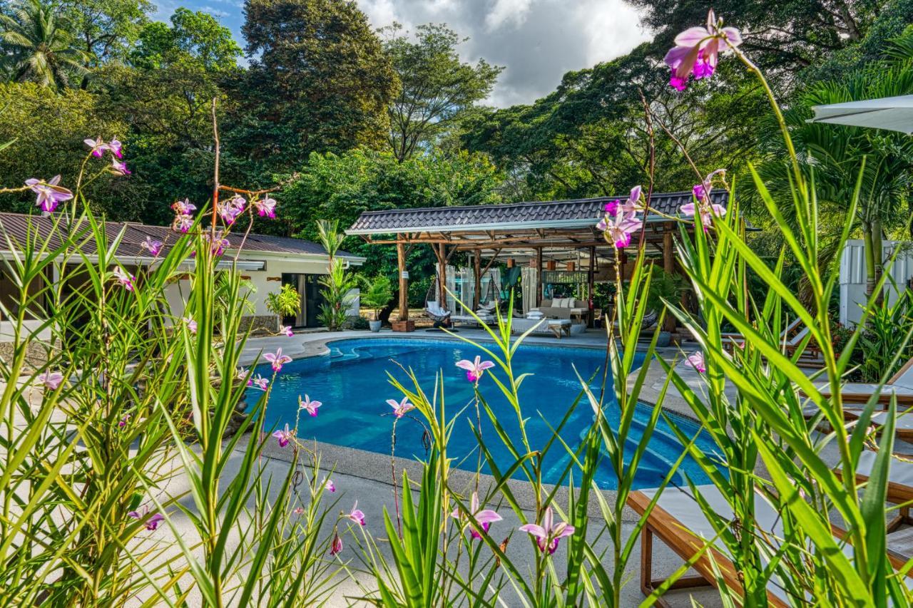 Tribe Boutique Hotel - Adults Only Dominical Exterior foto